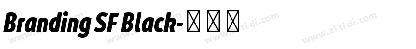 Branding SF Black字体转换